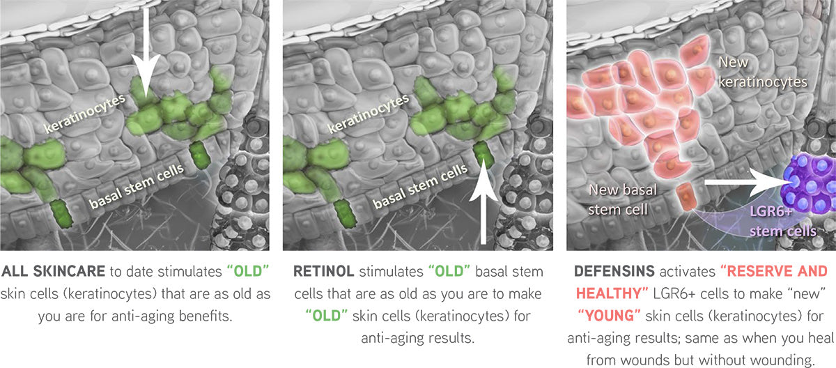 DefenAge 1-step Multi-Cleanse